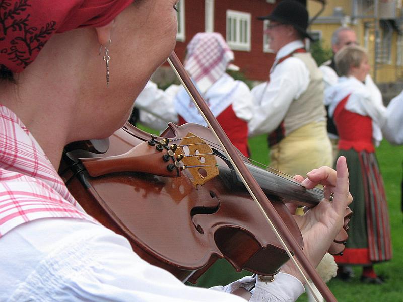 orga IMG_1864.jpg